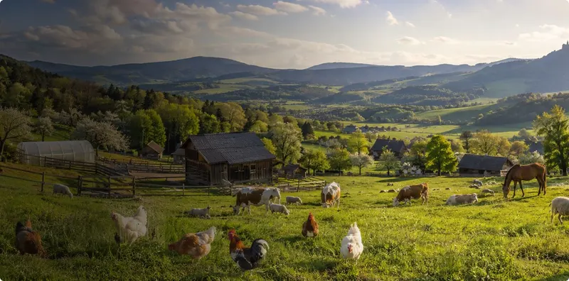 Farma Hůrka s pastvinami a koňmi